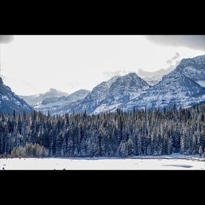 Meet your Posher, Mussie